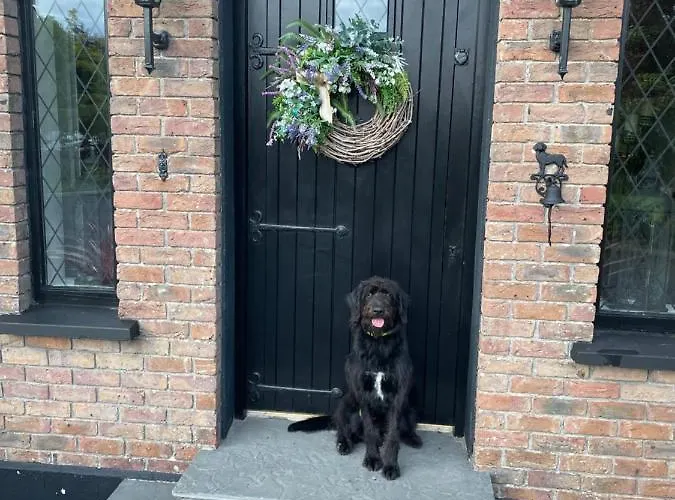 Venetia House - Small Claregalway